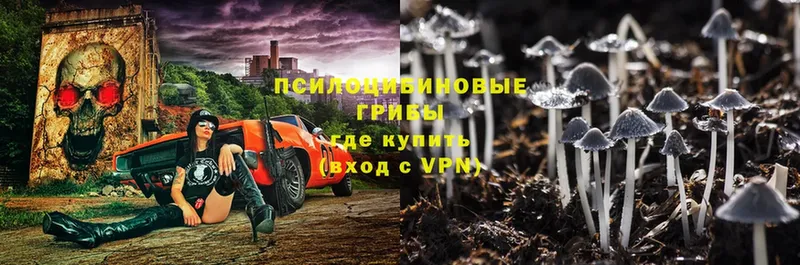 shop состав  Белоярский  Галлюциногенные грибы мухоморы 